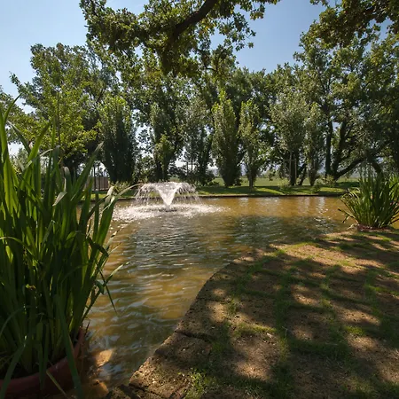 L' Araba Fenice & 5*