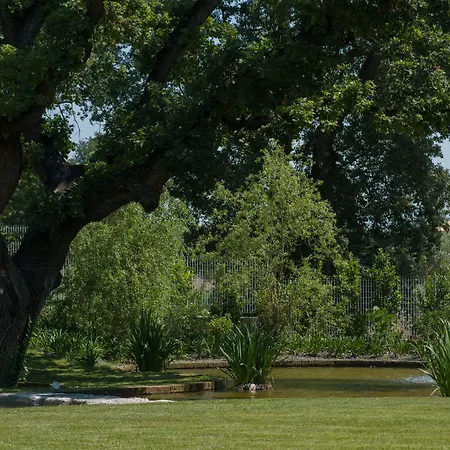 L' Araba Fenice & 5* Altavilla Silentina