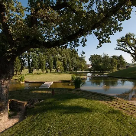 Ξενοδοχείο L' Araba Fenice & 5*