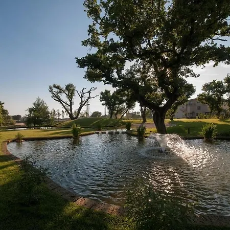 Ξενοδοχείο L' Araba Fenice & 5*